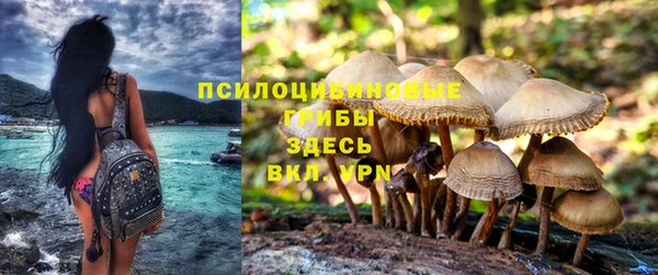 соль ск Аркадак