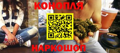 мяу мяу мука Аргун