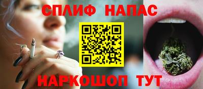 гидропоника Можайск
