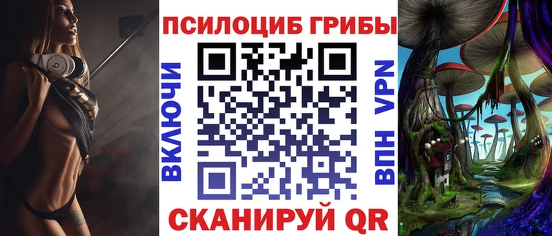 Купить где Вольск Псилоцибиновые грибы Magic Shrooms