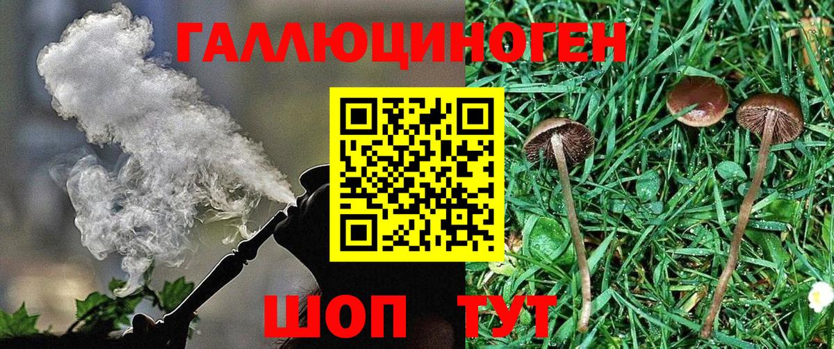 Галлюциногенные грибы мицелий Вольск