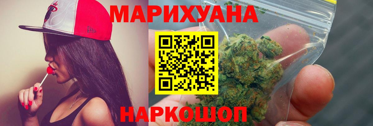 Бошки Шишки планчик Вольск